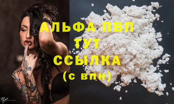 тгк Алексин
