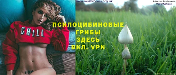 герыч Алзамай